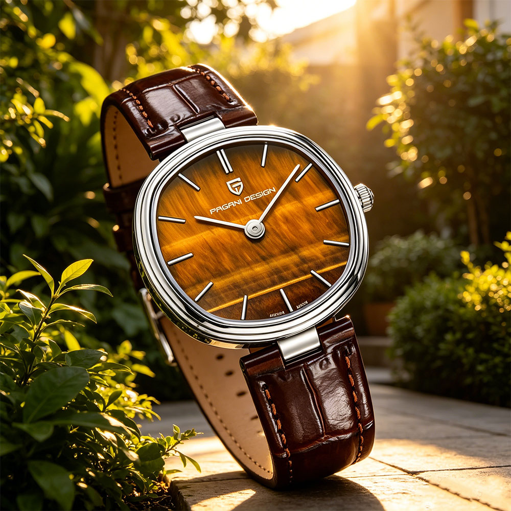 Anti-Magnetic Watch - PAGANI DESIGN 2026 Nouvelle Montre à