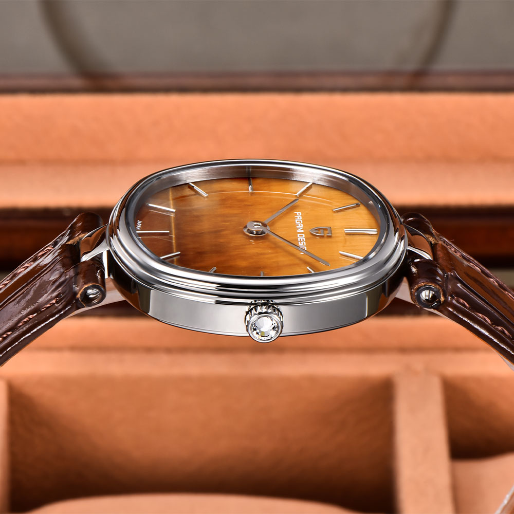 PAGANI DESIGN 2026 Nouvelle Mo - Anti-Magnetic Watch avis et prix